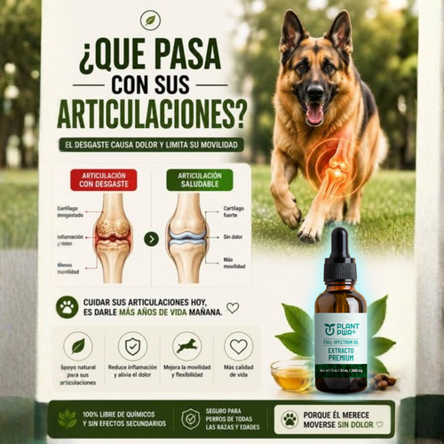 Plant Pwr - Gotas Full-Spectrum para mascotas