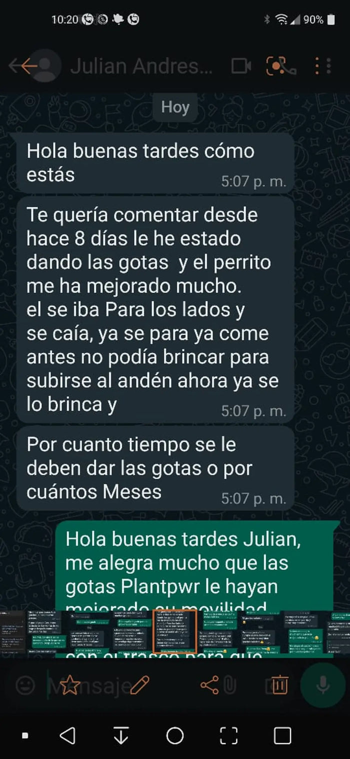 Plant Pwr - Testimonio real de cliente