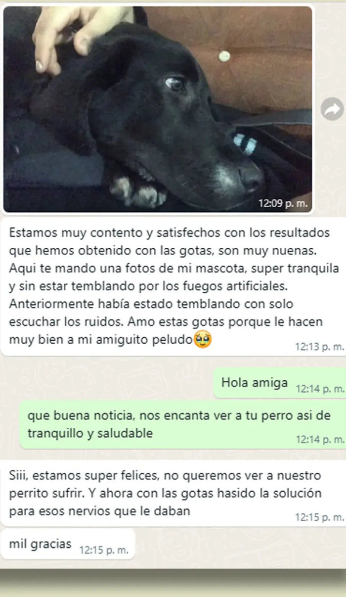 Plant Pwr - Testimonio real 4