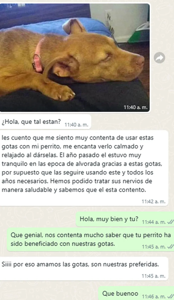 Plant Pwr - Testimonio real 2