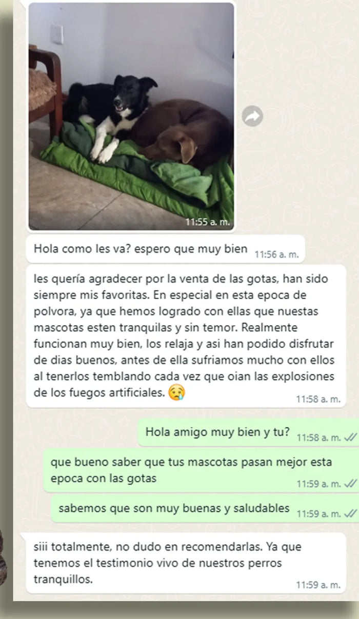 Plant Pwr - Testimonio real 3